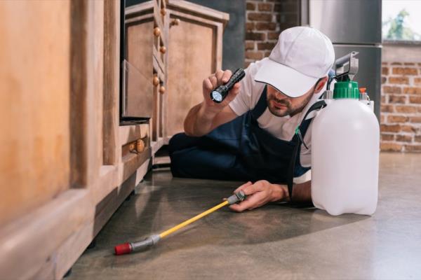 pest co<em></em>ntrol worker lying on floor and spraying pesticides under cabinet in kitchen